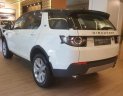 LandRover Discovery Sport HSE 2018 - Bán Discovery Sport HSE - Chương trình tháng 4 với ưu đãi lớn 200 triệu đồng