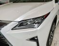 Lexus RX 350 2019 - Bán Lexus RX 350 đời 2019, màu trắng, xe nhập