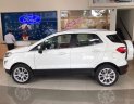 Ford EcoSport 2019 - Bán Ford EcoSport đời 2019, màu trắng, giá chỉ 945 triệu