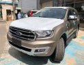 Ford Everest 2019 - Sốc! Sốc! Tặng tiền mặt ngay khi ký HĐ Ford Everest 2019, liên hệ ngay