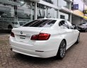 BMW 5 Series 520i 2012 - Bán BMW 520i năm 2012 mới như 2016