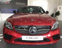 Mercedes-Benz C class 300 2019 - Cần bán xe Mercedes C300 năm 2019, màu đỏ