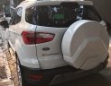 Ford EcoSport 1.0 Ecoboost 2018 - Bán Ford EcoSport 1.0 Ecoboost SX 2018, Odo 1,3 vạn, siêu lướt