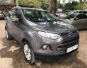 Ford EcoSport Titanium Black 1.5L AT 2016 - Bán xe Ford EcoSport Titanium Black 1.5L AT năm sản xuất 2016, màu xám  