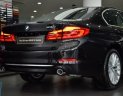 BMW 5 Series 530i 2019 - Bán BMW 5 Series 530i năm sản xuất 2019, nhập nguyên chiếc từ Đức và có sẵn để giao ngay