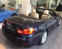 BMW 4 Series 420 Convertible 2019 - Bán xe BMW 420i Convertible mui trần mới 100%, số tự động, xe 2 cửa, 4 chỗ