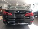 BMW 5 Series 530i Luxury 2018 - Bán BMW 5 Series 530i Luxury năm sản xuất 2018, màu đen, nhập khẩu  