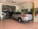 BMW X6 2008 - Xe cũ BMW X6 đời 2008, màu bạc, nhập khẩu nguyên chiếc