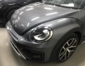 Volkswagen New Beetle 2019 - Bán Volkswagen New Beetle cao cấp đời 2019, màu xám (ghi), xe nhập