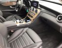 Mercedes-Benz C class 250 2017 - Cần bán Mercedes C250 sản xuất năm 2017, màu đen như mới
