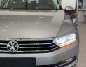 Volkswagen Passat GP 2018 - Bán ô tô Volkswagen Passat Bluemotion sản xuất 2018, xe nhập