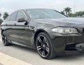 BMW 5 Series 528i 2012 - BMW 528i màu độc series 2012