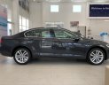 Volkswagen Passat 2018 - Bán xe Volkswagen Passat năm 2018, màu đen, nhập khẩu nguyên chiếc