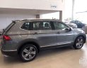 Volkswagen Tiguan   2019 - Bán Volkswagen Tiguan 2019, màu xám, nhập khẩu