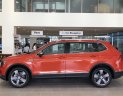 Volkswagen Tiguan Allspace 2019 - Xe Đức nhập khẩu nguyên chiếc - Volkswagen Tiguan Cam TSI 2.0