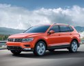 Volkswagen Tiguan Allspace 2019 - Xe Đức nhập khẩu nguyên chiếc - Volkswagen Tiguan Cam TSI 2.0