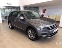 Volkswagen Tiguan   2019 - Bán Volkswagen Tiguan 2019, màu xám, nhập khẩu