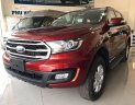 Ford Everest 2.0 Ambient 2019 - Bán ô tô Ford Everest 2.0 Ambient sản xuất năm 2019