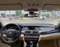 BMW 5 Series 520i 2016 - Cần bán gấp BMW 5 Series 520i sản xuất năm 2016, màu nâu