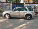 Ford Escape XLT 2009 - Bán Ford Escape XLT năm sản xuất 2009, màu bạc, nhập khẩu 