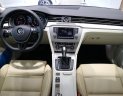 Volkswagen Passat   Bluemotion 2018 - Bán Passat Bluemotion 4 chỗ nhập Đức, giao ngay