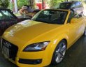 Audi TT 2010 - Bán Audi TT sản xuất 2010, màu vàng, xe nhập