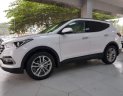 Hyundai Santa Fe 2019 - Bán Hyundai Santa Fe đời 2019, màu trắng, nhập khẩu nguyên chiếc