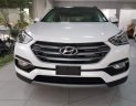 Hyundai Santa Fe 2019 - Bán Hyundai Santa Fe đời 2019, màu trắng, nhập khẩu nguyên chiếc