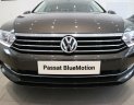 Volkswagen Passat   Bluemotion 2018 - Bán Passat Bluemotion 4 chỗ nhập Đức, giao ngay