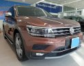 Volkswagen Tiguan Allspace 2018 - Volkswagen Tiguan nâu và xanh rêu - Phiên bản giới hạn