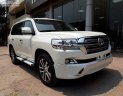 Toyota Land Cruiser VX 4.6 V8 2019 - Bán Toyota Land Cruiser VX 4.6 V8 năm 2019, màu trắng, nhập khẩu