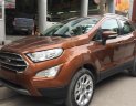 Ford EcoSport 2019 - Bán Ford EcoSport năm 2019, nhập khẩu nguyên chiếc, 689tr