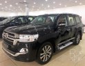 Toyota Land Cruiser  5.7 Autobiography MBS 2019 - Bán Toyota Land Cruise 5.7 Autobiography MBS, 4 chỗ, 4 ghế massage, 2019, mới 100%