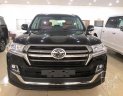 Toyota Land Cruiser  5.7 Autobiography MBS 2019 - Bán Toyota Land Cruise 5.7 Autobiography MBS, 4 chỗ, 4 ghế massage, 2019, mới 100%