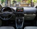 Ford EcoSport 2019 - Bán Ford EcoSport năm 2019, nhập khẩu nguyên chiếc, 689tr