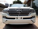 Toyota Land Cruiser VX 4.6 V8 2019 - Bán Toyota Land Cruiser VX 4.6 V8 năm 2019, màu trắng, nhập khẩu