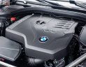 BMW 5 Series 530i 2019 - Bán BMW 530i đời 2019, màu đen, nhập khẩu