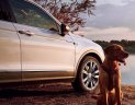 Volkswagen Tiguan 2019 - Xe Volkswagen Tiguan Allspace 2019 SUV 7 màu trắng nhãn hiệu Đức - hotline: 0909717983