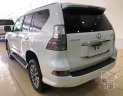 Lexus GX GX460 2017 - Bán Lexus GX460 màu trắng, sản xuất và đăng ký 2017. LH: 0906223838