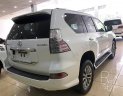 Lexus GX GX460 2017 - Bán Lexus GX460 màu trắng, sản xuất và đăng ký 2017. LH: 0906223838