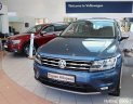 Volkswagen Tiguan G 2019 - Xe Volkswagen Tiguan Allspace 2019 SUV 7 màu xanh của Đức - Hotline: 0909717983
