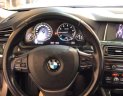 BMW 5 Series 520i 2016 - Bán xe BMW 5 Series 520i đời 2016, màu bạc, xe còn zin từng con ốc và nước sơn luôn