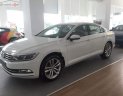 Volkswagen Passat 1.8 Bluemotion 2018 - Bán Volkswagen Passat 1.8 Bluemotion 2018, màu trắng, nhập khẩu