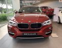 BMW X6   2019 - Cần bán BMW X6 đời 2019, màu đỏ, nhập khẩu
