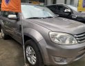 Ford Escape 2010 - Bán Ford Escape sản xuất năm 2010, màu xám