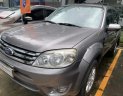 Ford Escape 2010 - Bán Ford Escape sản xuất năm 2010, màu xám