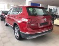 Volkswagen Tiguan G 2019 - Xe Volkswagen Tiguan Allspaces 2019 chính thức lăn bánh tại Việt Nam - Hotline: 0909 717 983