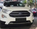 Ford EcoSport 2019 - Bán Ford EcoSport sản xuất năm 2019, màu trắng, nhập khẩu 