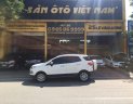 Ford EcoSport Titanium 2015 - Bán Ford EcoSport 2015 AT bản Titanium