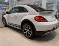Volkswagen Beetle   2019 - Bán xe Volkswagen Beetle 2019, màu trắng, xe nhập